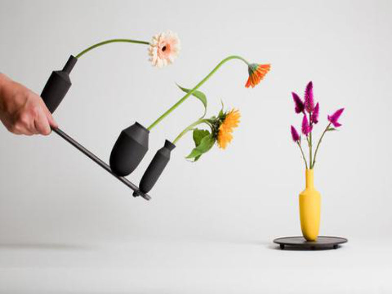 The Tangent & Grow collection