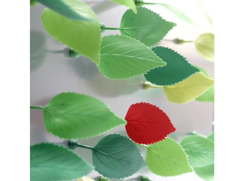 Leaf-shaped magnet