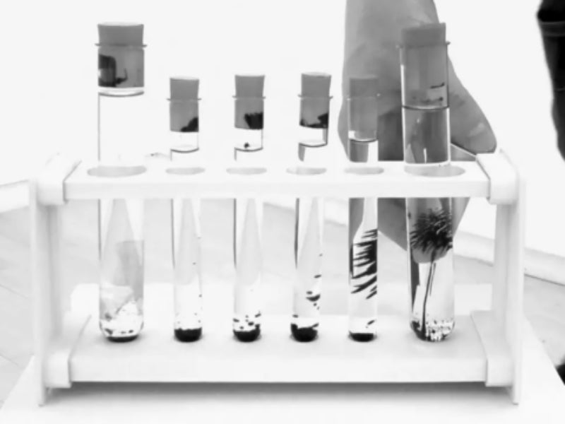 Dark Senses by Fraser Ross